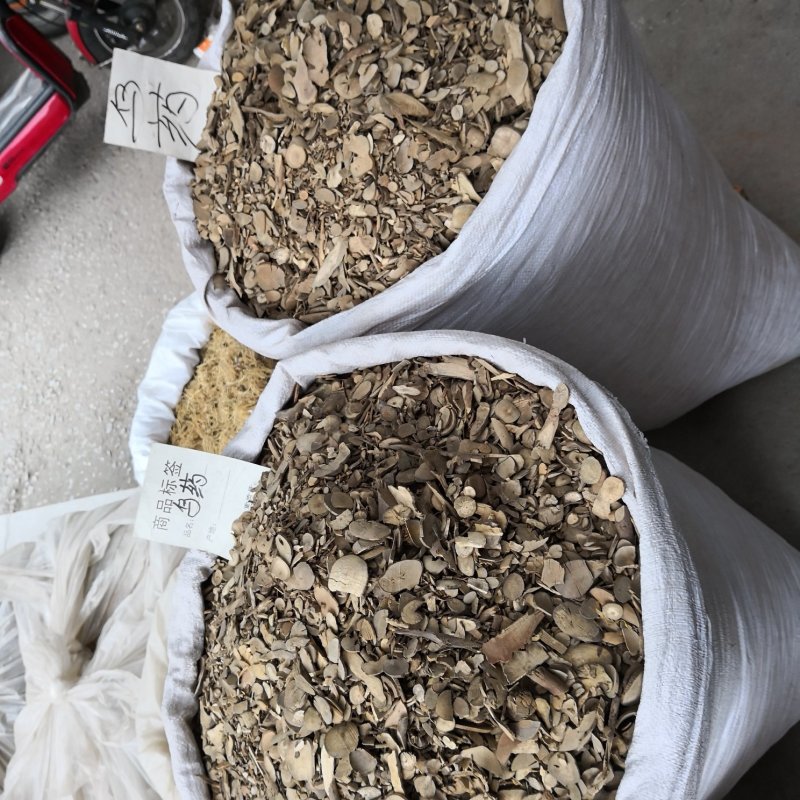 乌药浙江干货粉片含量高新货散装量大从优