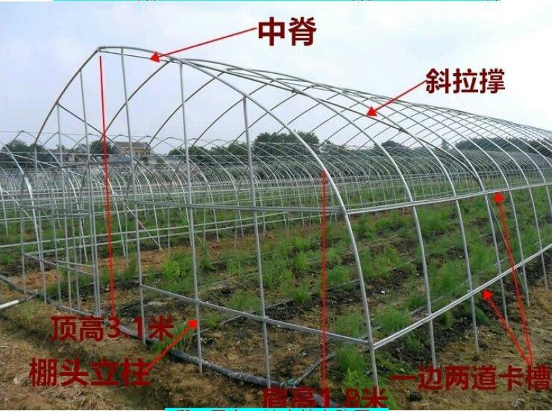 厂家直销镀锌管大棚，用于养殖，种植蔬菜，水产，水果