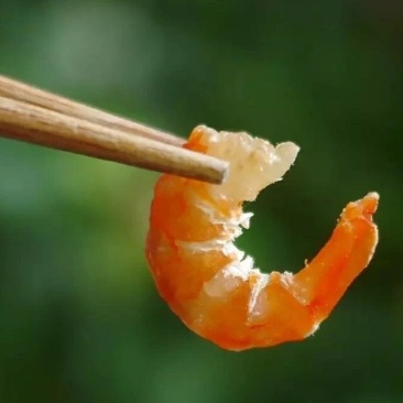 金钩海米