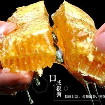 蜂巢蜜