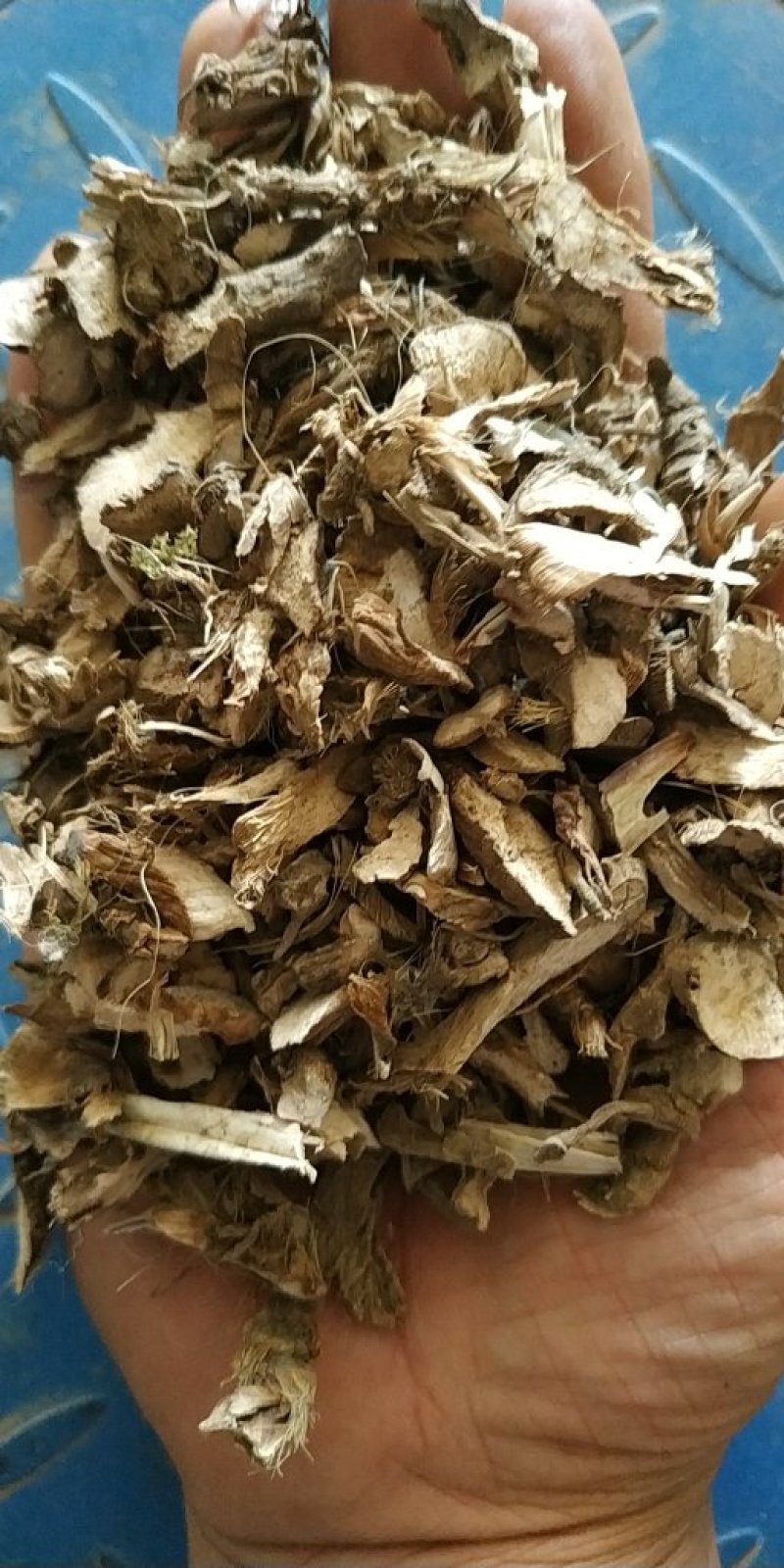 自产自销石菖蒲正品保障***保鲜