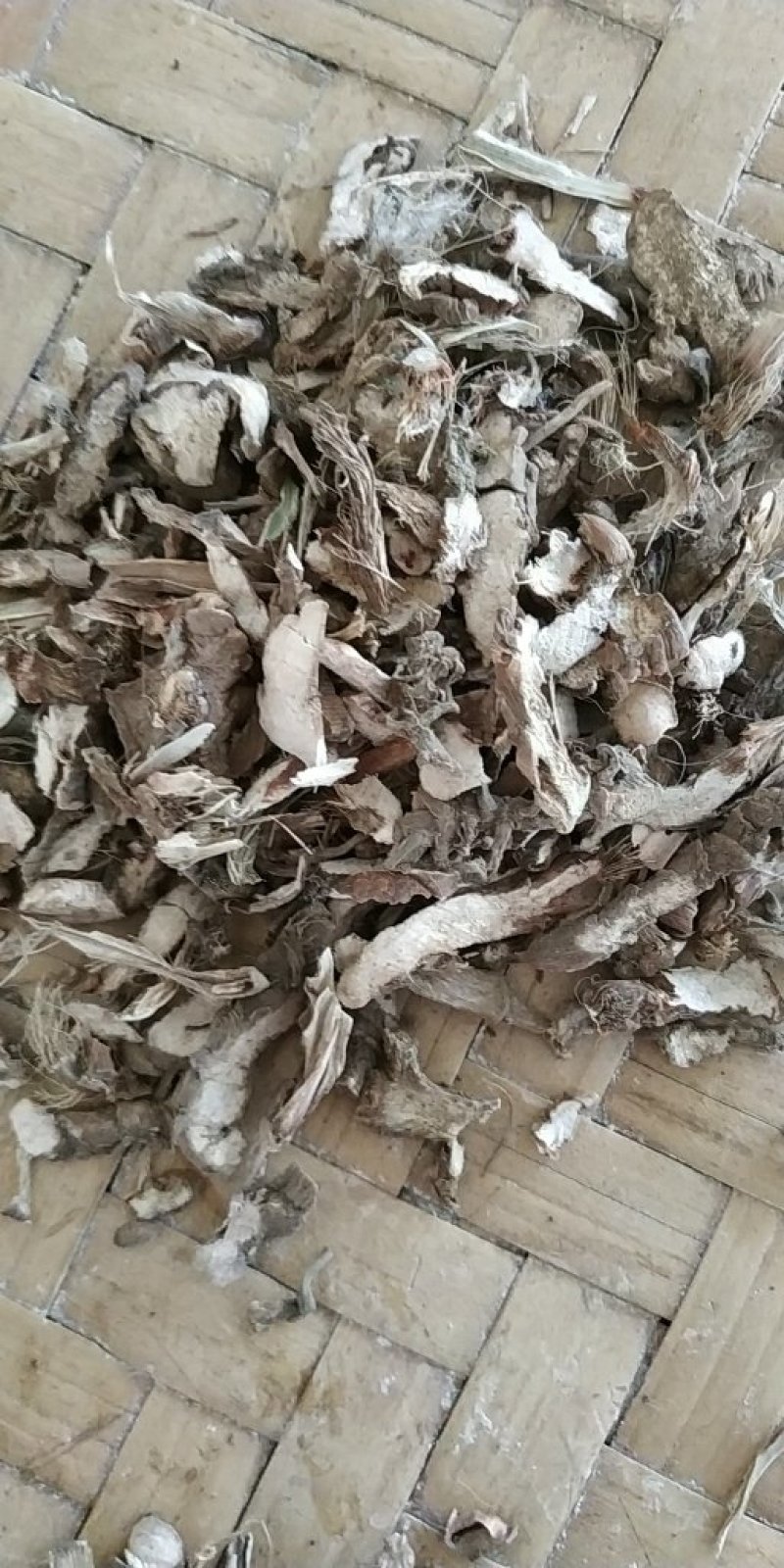 自产自销石菖蒲正品保障***保鲜