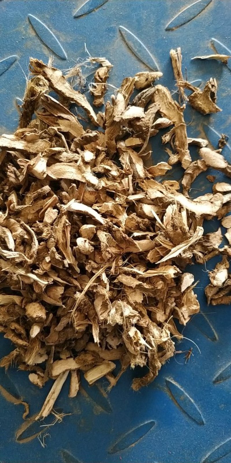 自产自销石菖蒲正品保障***保鲜