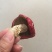 干红菇
