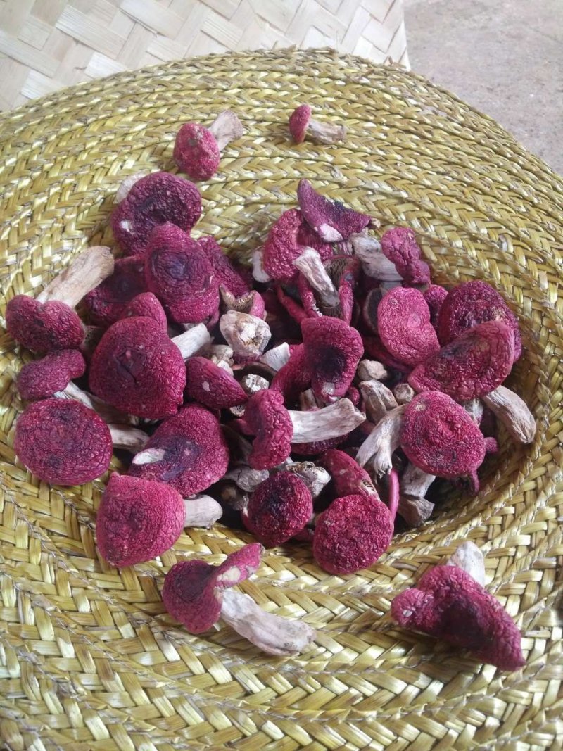 干红菇