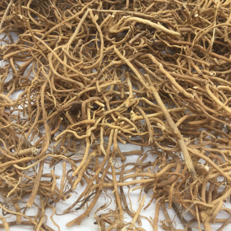 徐长卿辽刁竹逍遥竹