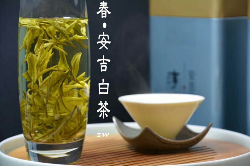 安吉白茶