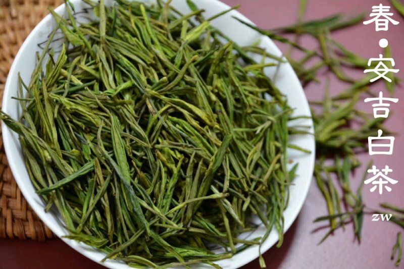安吉白茶