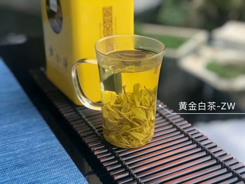 安吉白茶