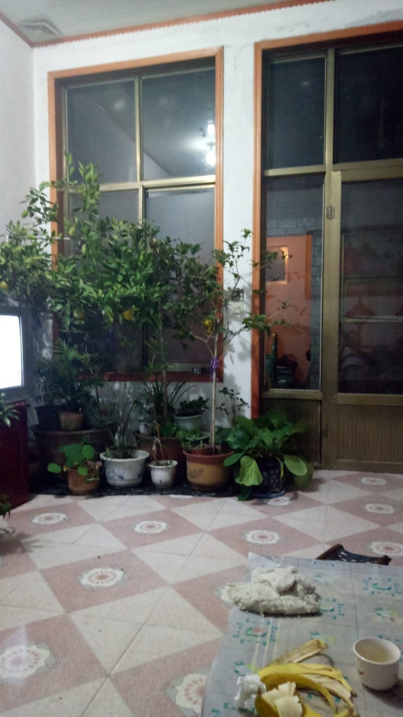 白蜡