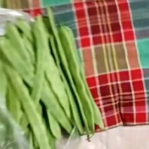 芸豆上市了欢迎新老客户洽谈合作