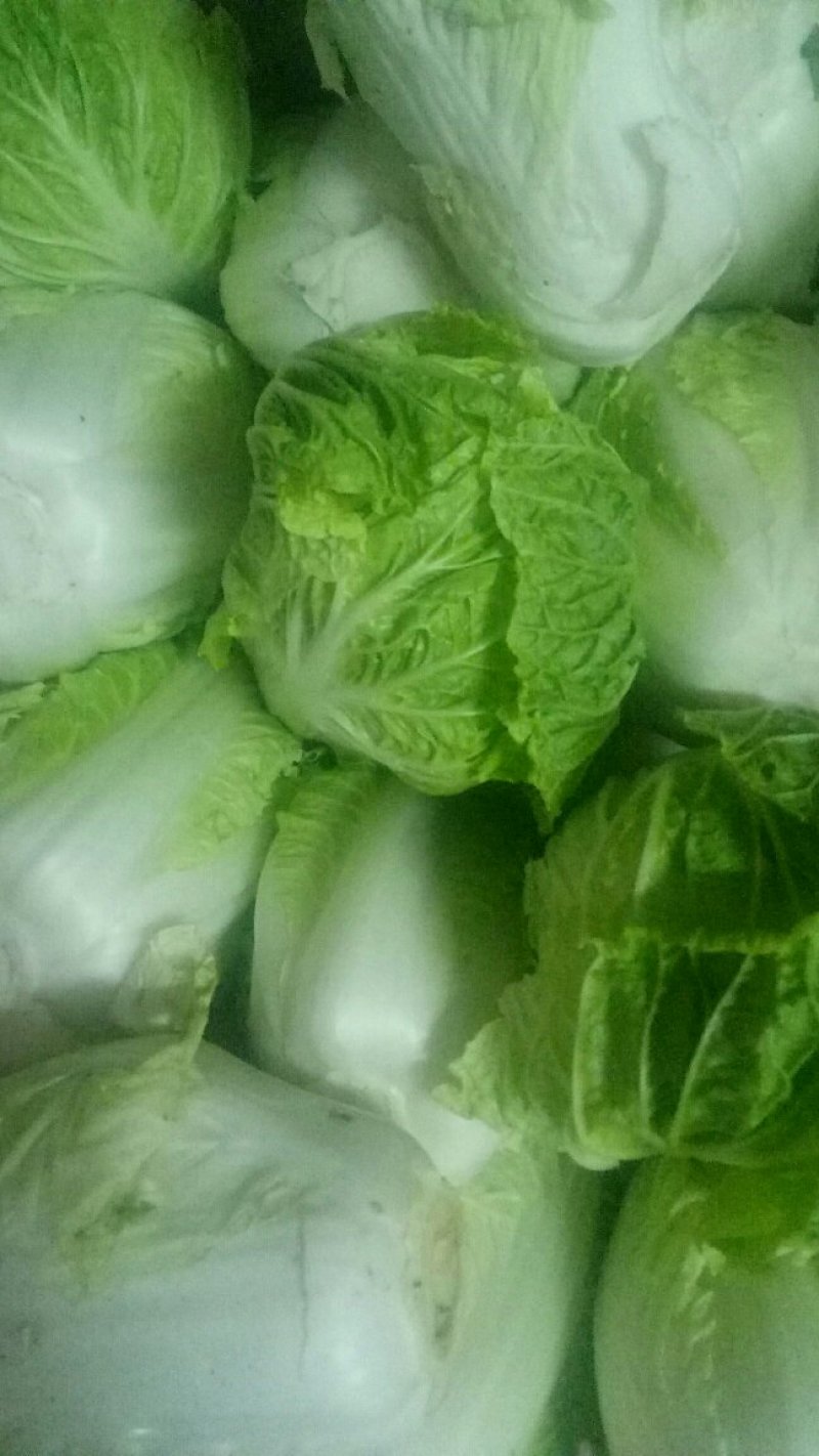 优质西兰花大白菜优质大椒