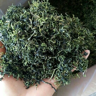 蒲公英茶，婆婆丁，蒲公英叶，蒲公英根，蒲公英