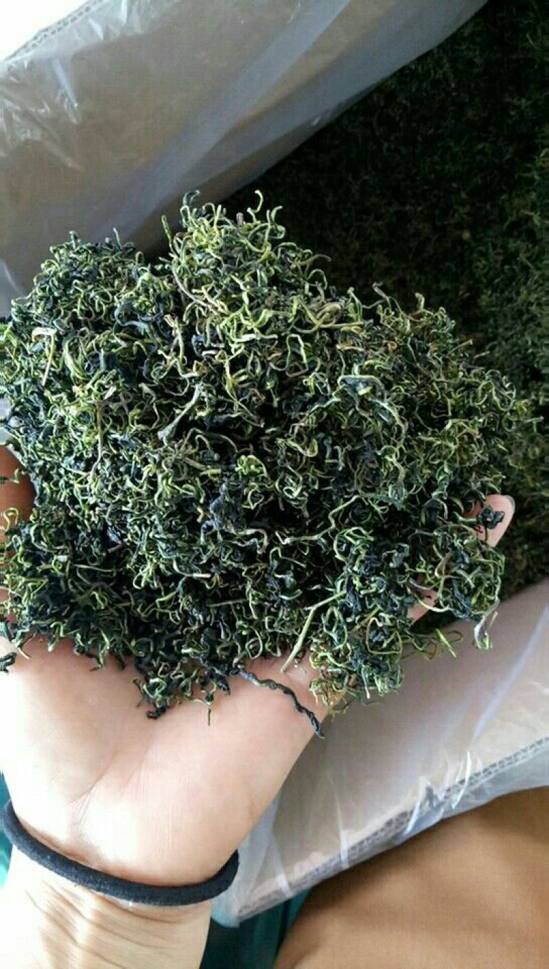 蒲公英茶，婆婆丁，蒲公英叶，蒲公英根，蒲公英