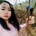 洛阳观赏牡丹苗～两年苗！重瓣大花朵。跟粗苗壮包对版包成活