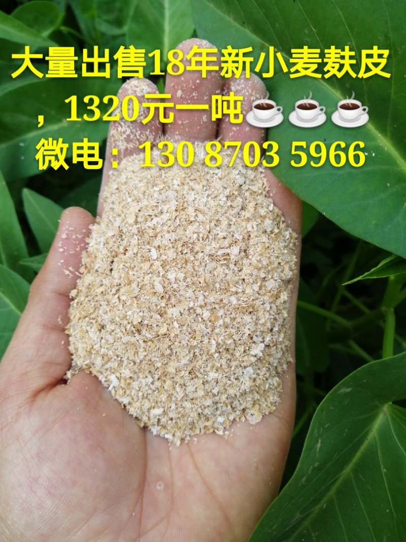 麸皮