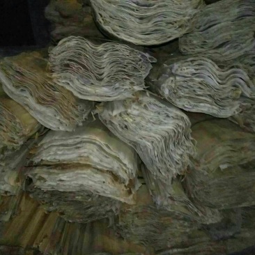 今年最好的一批货，需要的联系我，云南西双版纳货