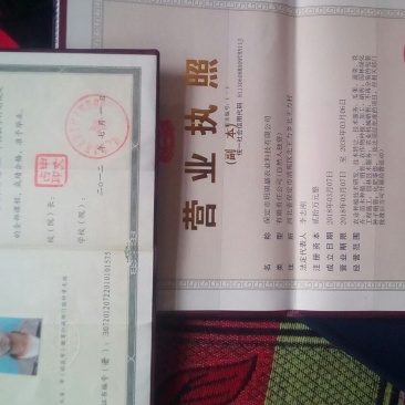 绿化苗木法桐国槐垂柳毛白杨栾树杜仲白腊