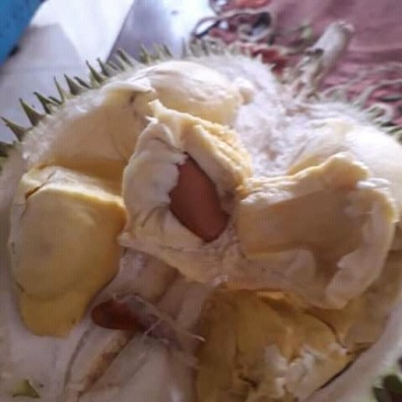 想找一合作伙伴