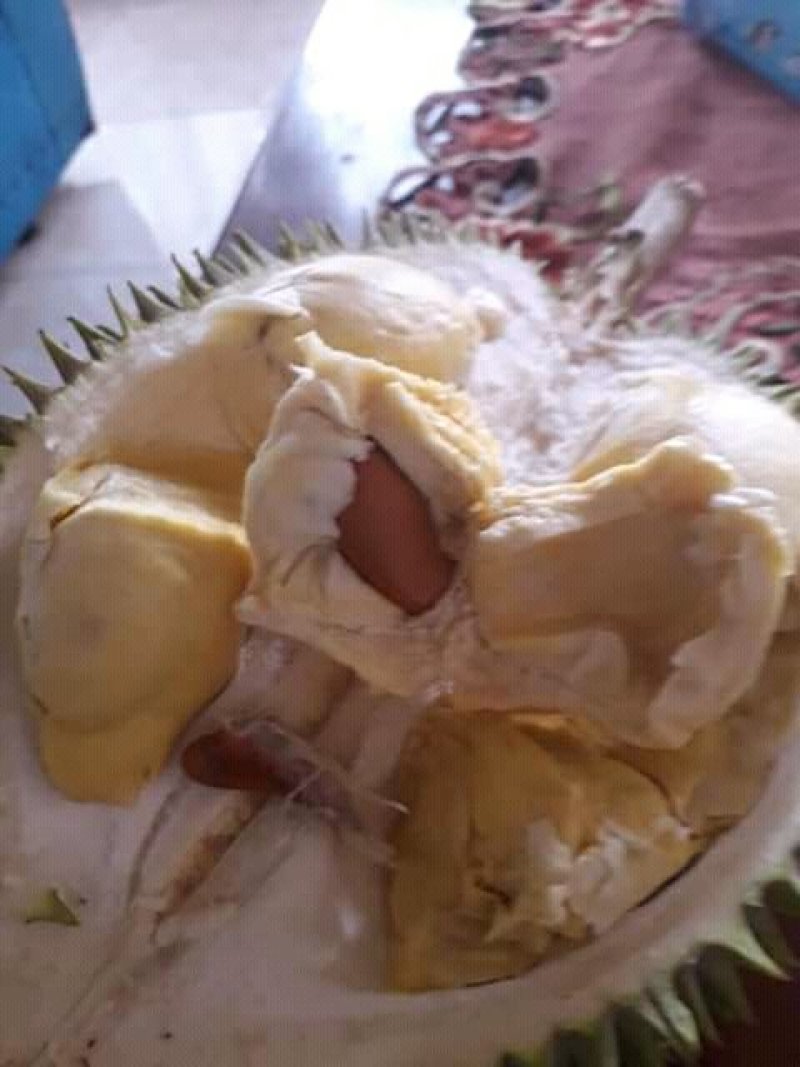 想找一合作伙伴