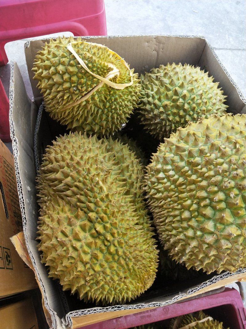 想找一合作伙伴
