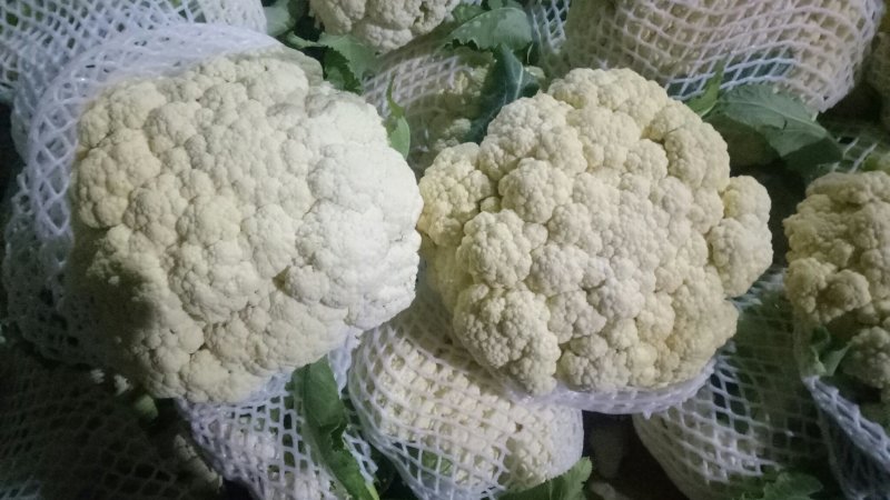 有机花菜，白面青杆有机花，