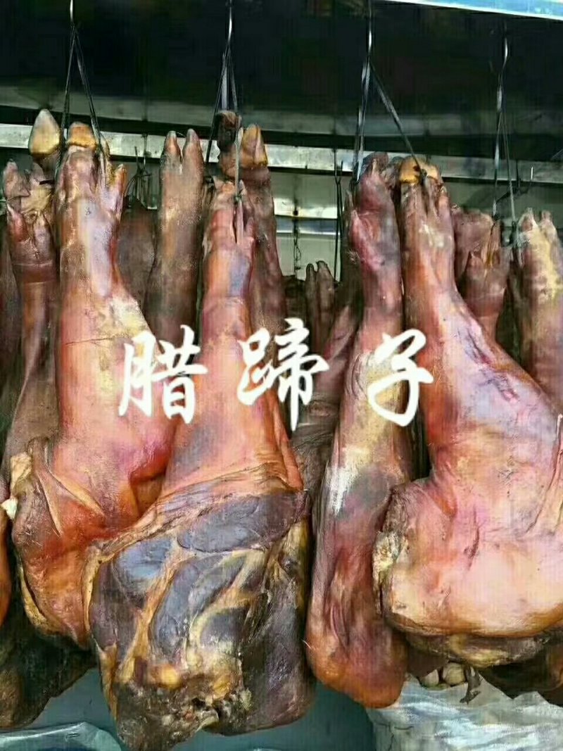 猪肚子