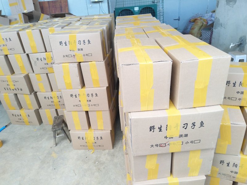 翘嘴鱼干白鱼干