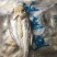开背翘嘴白鱼干