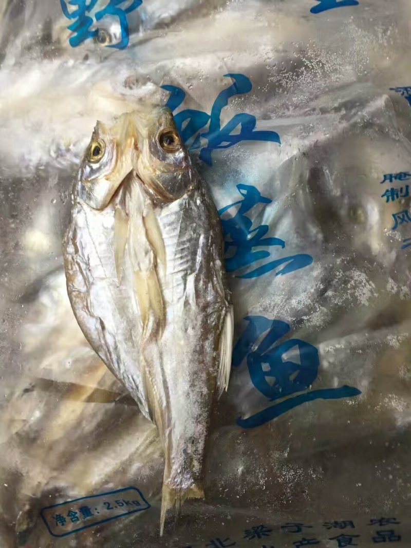 开背翘嘴白鱼干