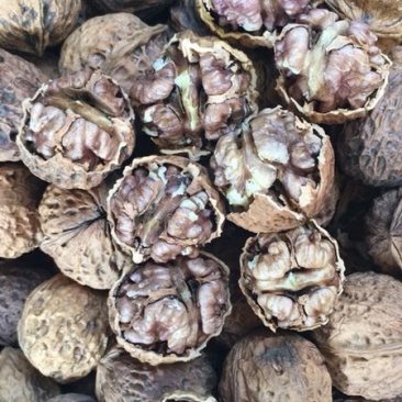 云南纸皮紫肉核桃