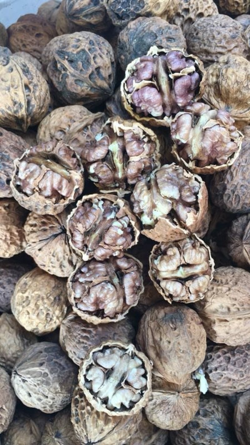 云南纸皮紫肉核桃