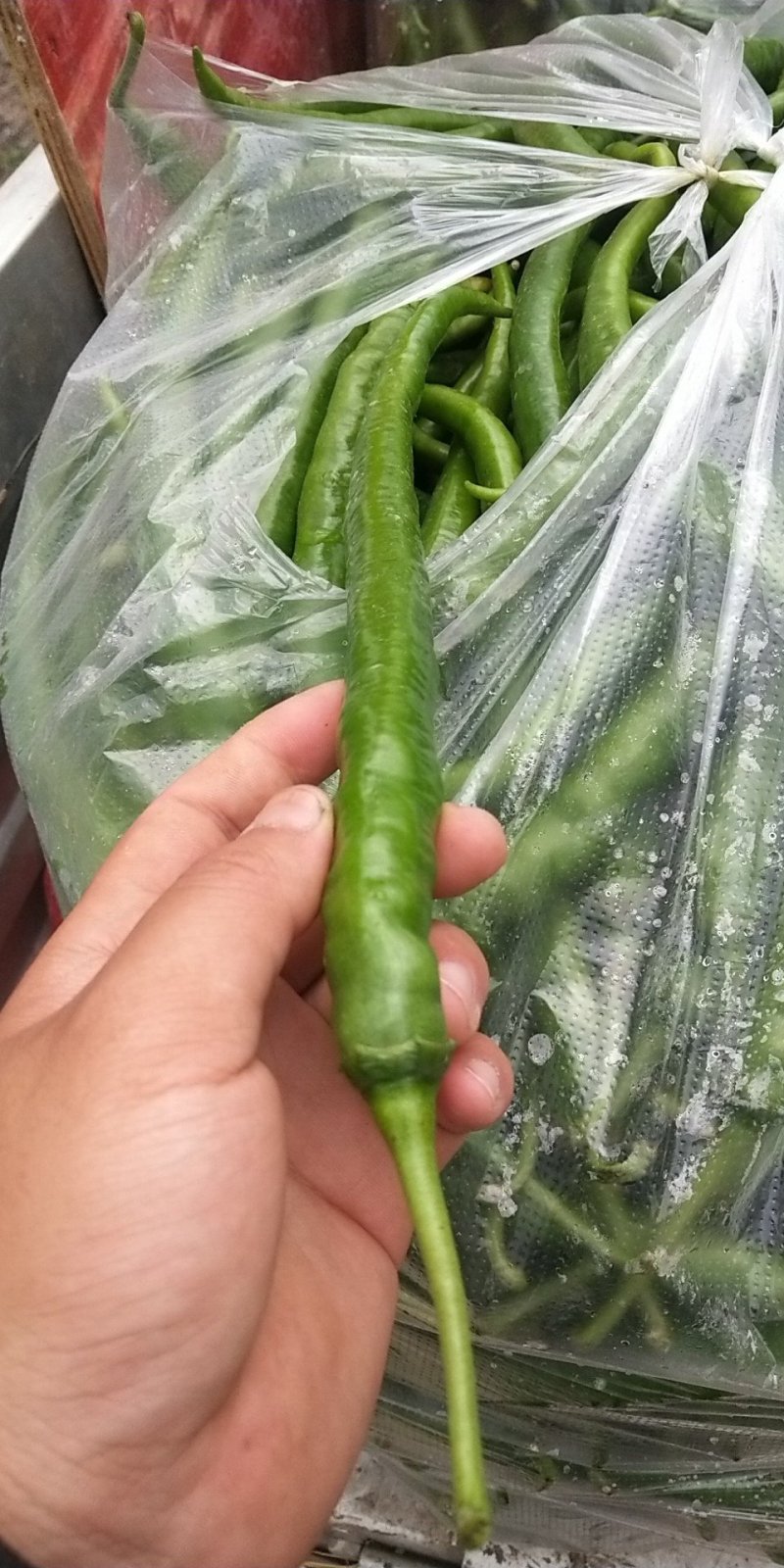 辣椒