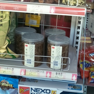 黄粉虫