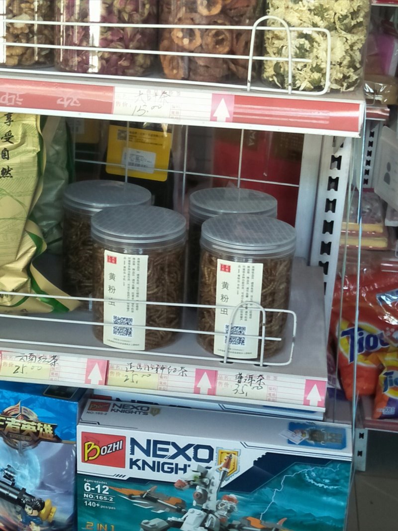 黄粉虫