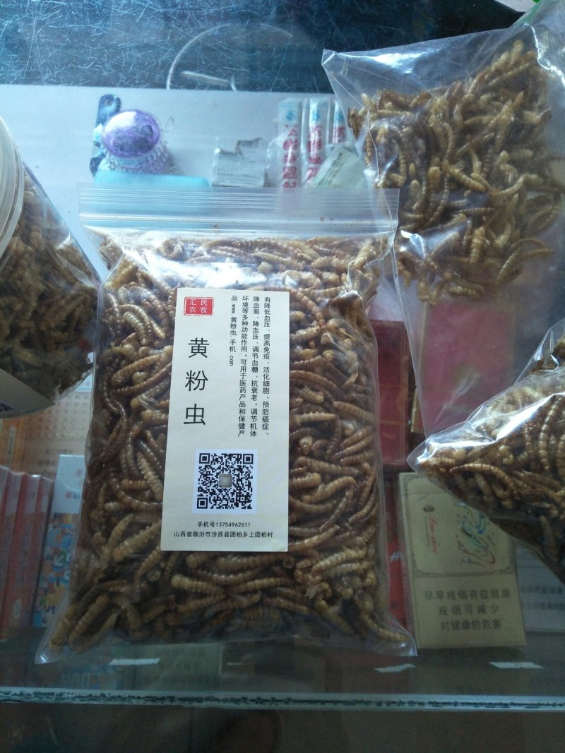 黄粉虫