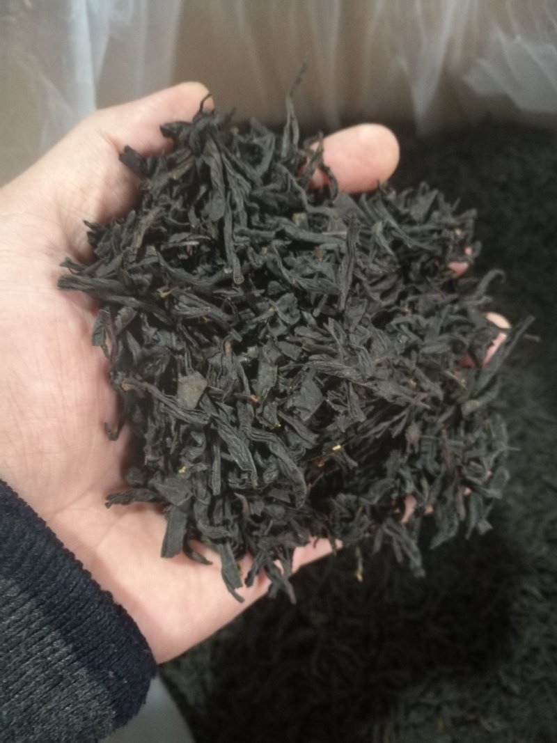 正山小种红茶黑条2档茶叶浓香型礼盒散装大量供应