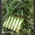 山东省沂南县，优质莴苣大量上市，物美价廉