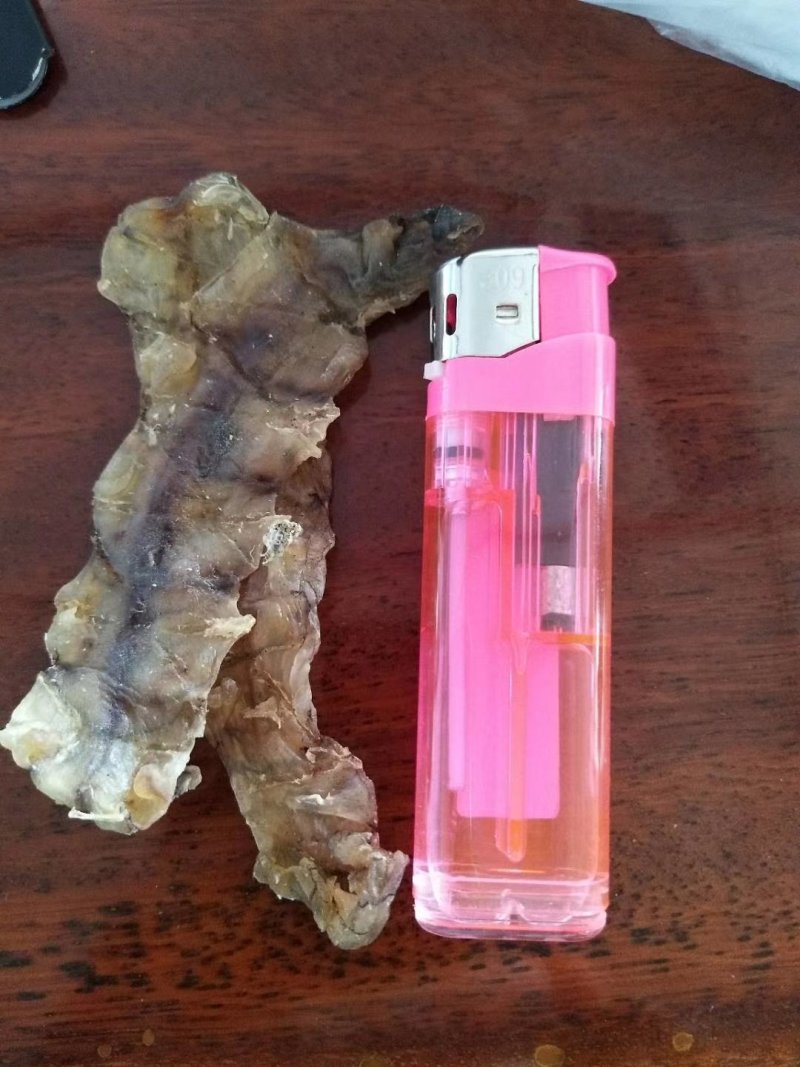 皮皮虾干【又叫.虾姑干，濑尿虾干，跳跳虾干】越南货