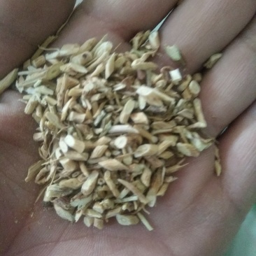 陇西黄芪尾渣量大从优切片过筛后的最小片养殖场专用