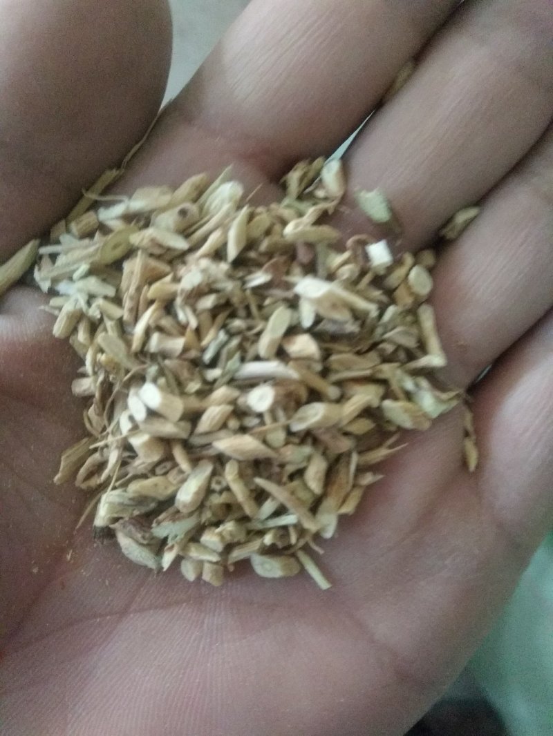 陇西黄芪尾渣量大从优切片过筛后的最小片养殖场专用