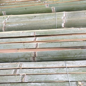 竹片大棚用竹片农用竹片