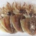 烟台墨鱼干批发零售量大可议价