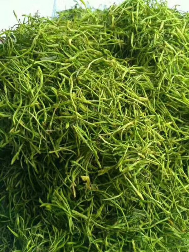 山银花中药材可药食两用产地四川无硫新货