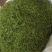 山银花中药材可药食两用产地四川无硫新货