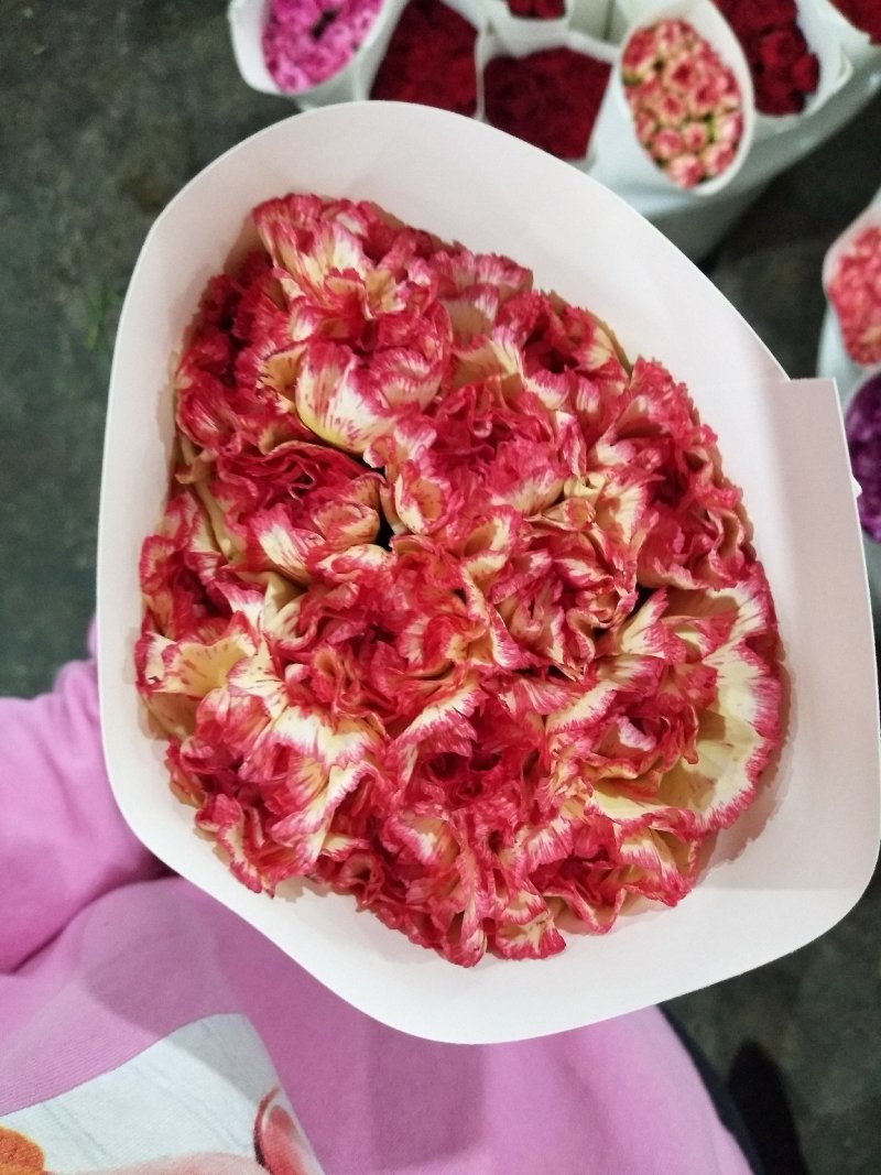 各色康乃馨，花头大，杆子粗，