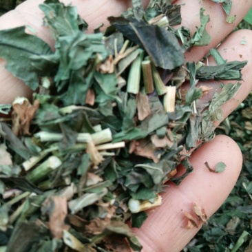 颜色好质量好的佩兰