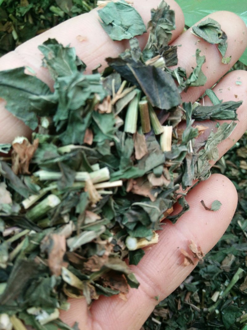颜色好质量好的佩兰