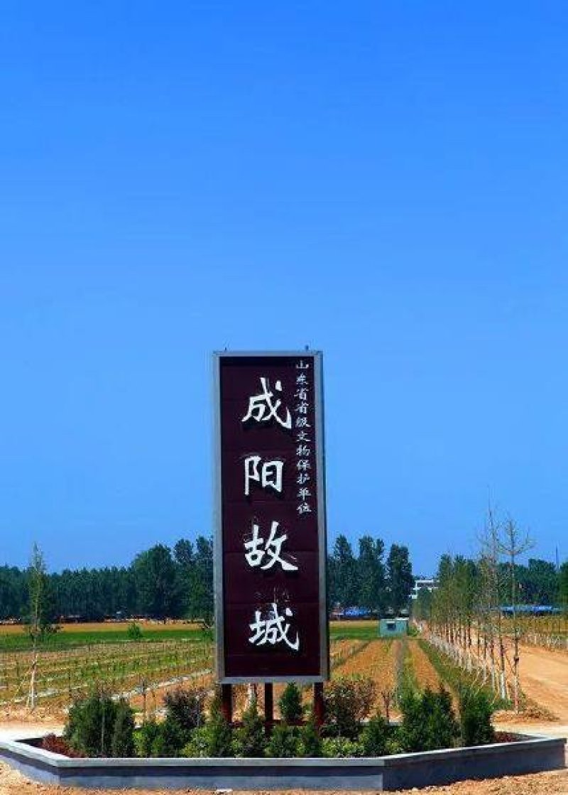 成阳古法小榨花生油给你一种不一样的味蕾