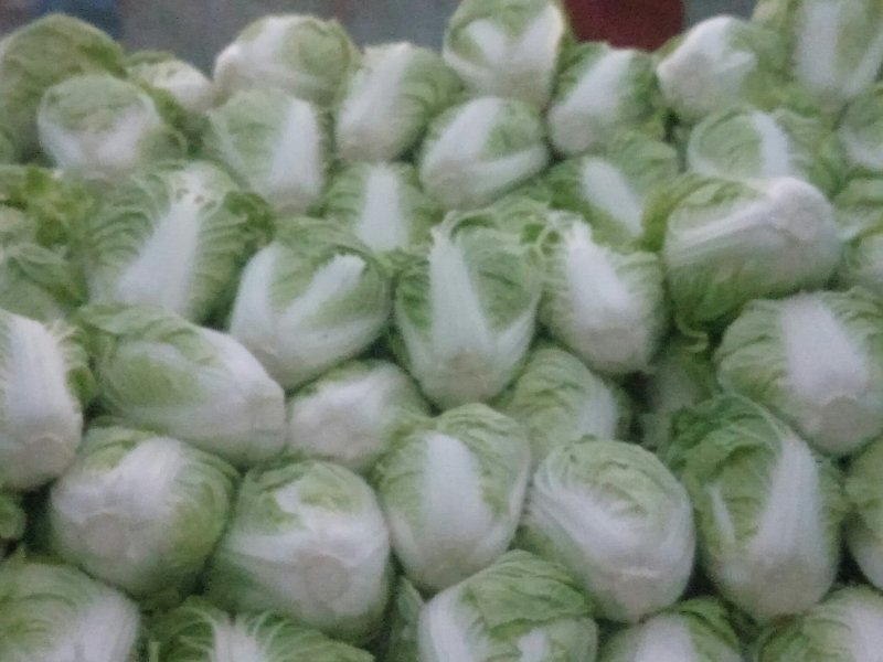 精品优质大白菜产地直发，商超**！